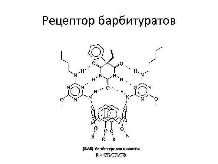 Рецептор барбитуратов 