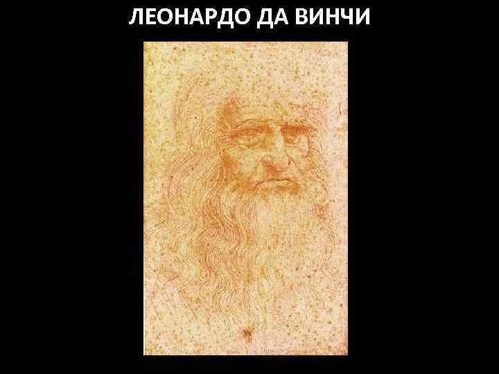 ЛЕОНАРДО ДА ВИНЧИ 