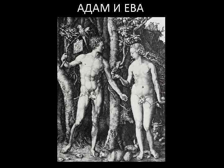 АДАМ И ЕВА 
