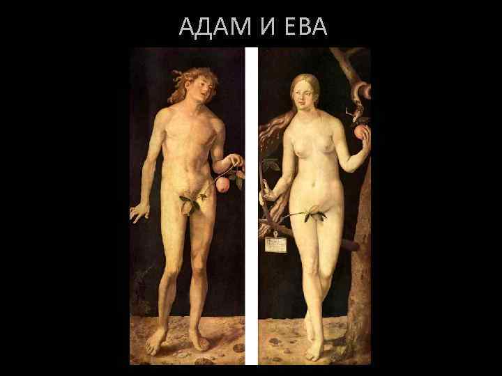 АДАМ И ЕВА 