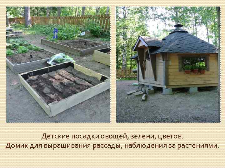 Детские посадки овощей, зелени, цветов. Домик для выращивания рассады, наблюдения за растениями. 