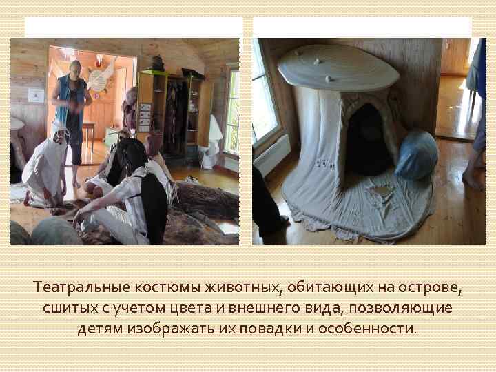 Театральные костюмы животных, обитающих на острове, сшитых с учетом цвета и внешнего вида, позволяющие