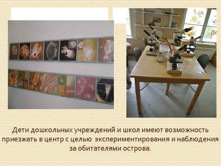 Дети дошкольных учреждений и школ имеют возможность приезжать в центр с целью экспериментирования и