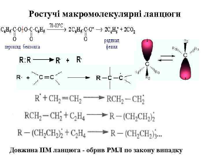 Ростучі макромолекулярні ланцюги Довжина ПМ ланцюга - обрив РМЛ по закону випадку 