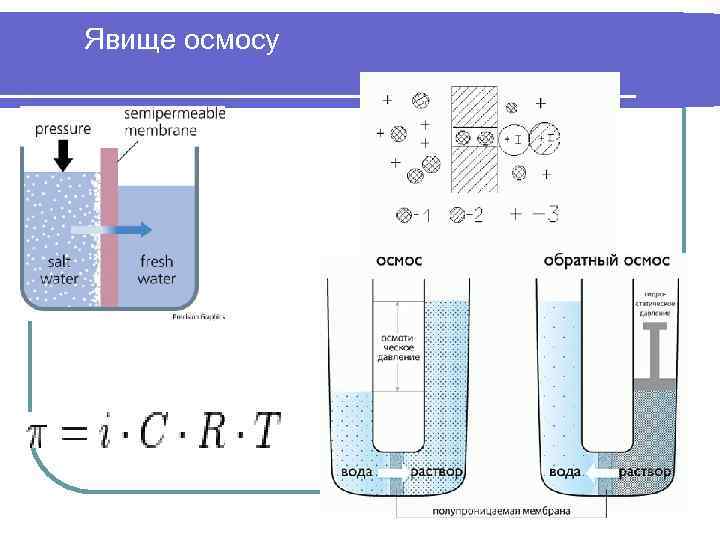 Явище осмосу 