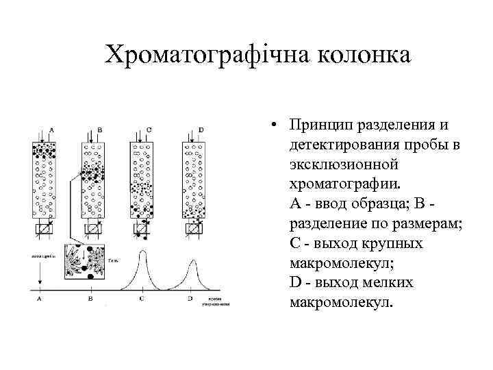 Эксклюзионная хроматография презентация