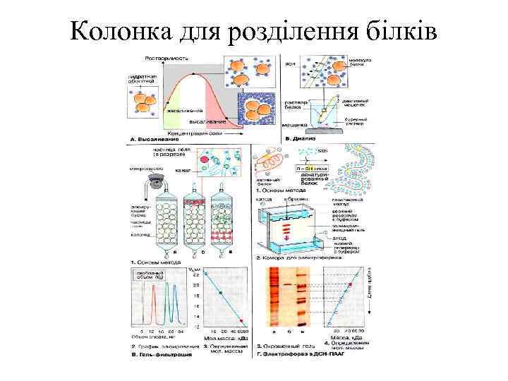 Колонка для розділення білків 