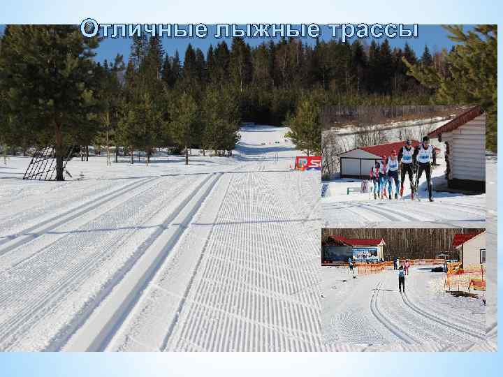 Отличные лыжные трассы 