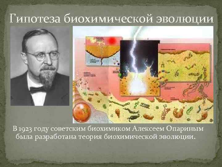 Гипотеза биохимической эволюции В 1923 году советским биохимиком Алексеем Опариным была разработана теория биохимической