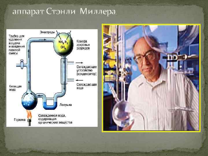 аппарат Стэнли Миллера. Стэнли Миллер и Сидни Фокс сконструировали аппарат, в котором содержались газы