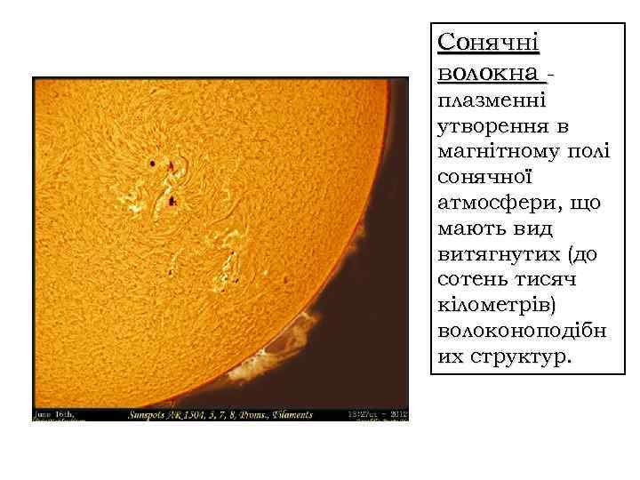 Сонячні волокна плазменні утворення в магнітному полі сонячної атмосфери, що мають вид витягнутих (до