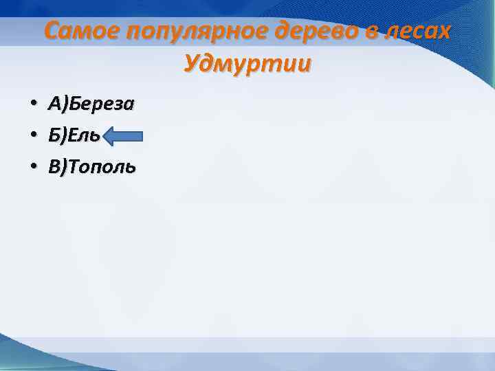 Самое популярное дерево в лесах Удмуртии • • • А)Береза Б)Ель В)Тополь 