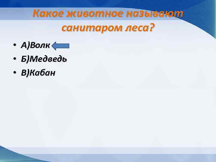 Какое животное называют санитаром леса? • • • А)Волк Б)Медведь В)Кабан 