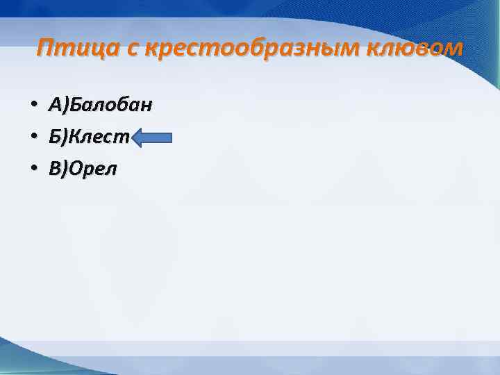 Птица с крестообразным клювом • • • А)Балобан Б)Клест В)Орел 