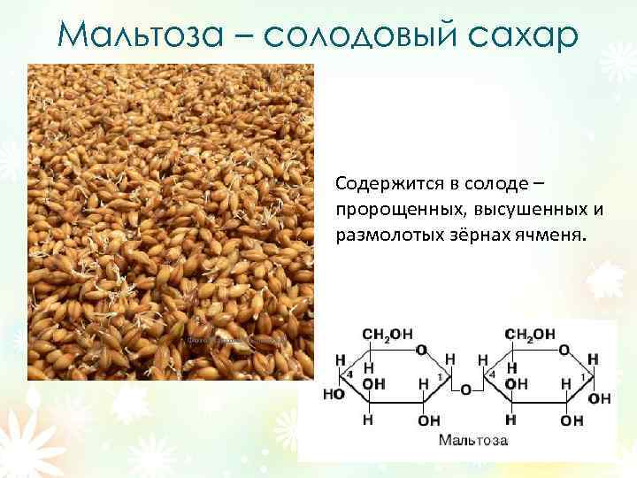 Мальтоза – солодовый сахар Содержится в солоде – пророщенных, высушенных и размолотых зёрнах ячменя.