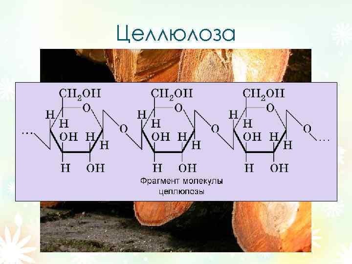 Целлюлоза 