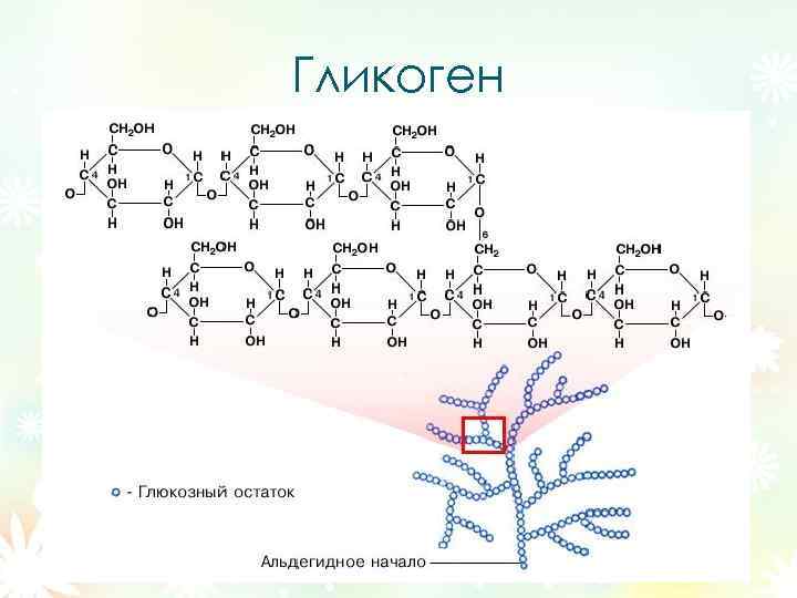 Гликоген 