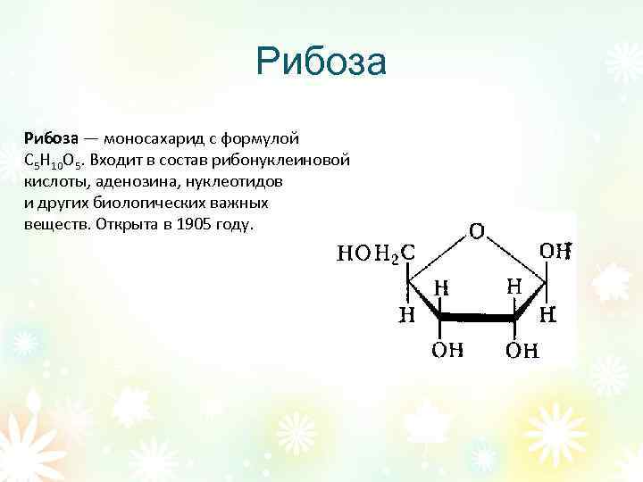 Рибоза — моносахарид с формулой С 5 Н 10 О 5. Входит в состав