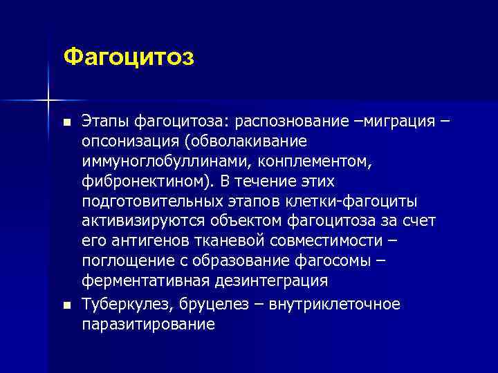 Фагоцитоз n n Этапы фагоцитоза: распознование –миграция – опсонизация (обволакивание иммуноглобуллинами, конплементом, фибронектином). В