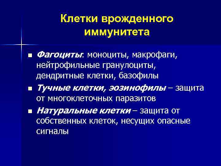 Клетки врожденного иммунитета n Фагоциты: моноциты, макрофаги, нейтрофильные гранулоциты, дендритные клетки, базофилы n n