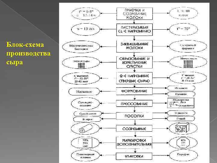 Блок-схема производства сыра 