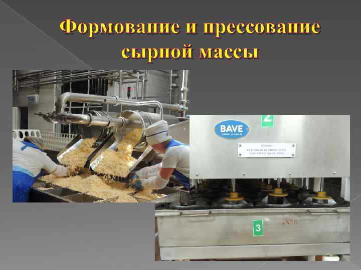 Формование и прессование сырной массы 
