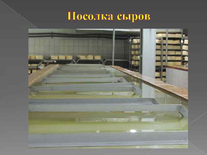 Посолка сыров 