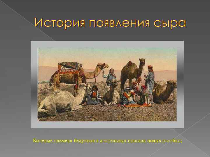 История появления сыра Кочевые племена бедуинов в длительных поисках новых пастбищ 