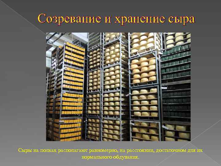 Созревание и хранение сыра Сыры на полках располагают равномерно, на расстоянии, достаточном для их