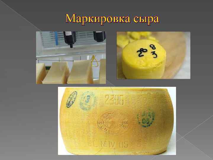 Маркировка сыра 