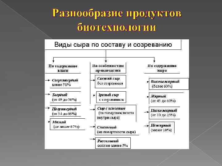 Разнообразие продуктов биотехнологии 
