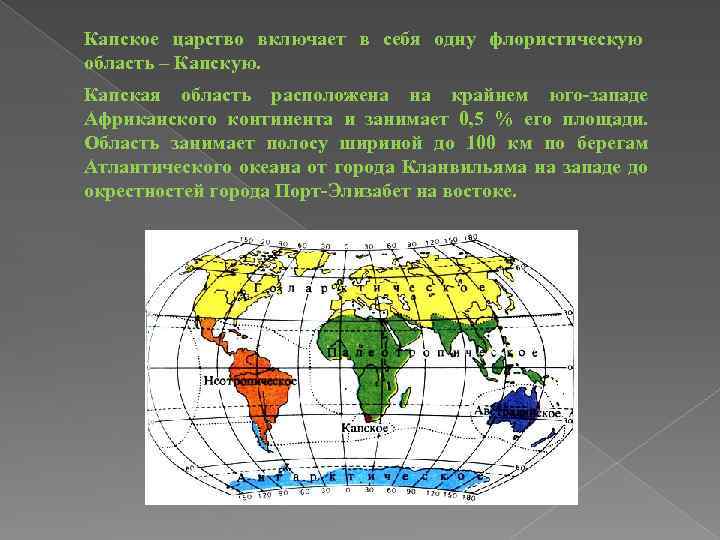 Палеотропическое флористическое царство презентация