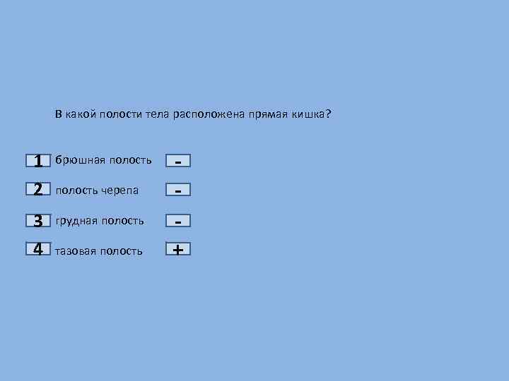 1 2 3 4 В какой полости тела расположена прямая кишка? брюшная полость черепа