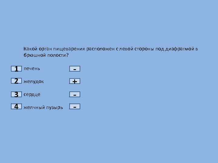 1 2 3 4 Какой орган пищеварения расположен с левой стороны под диафрагмой в