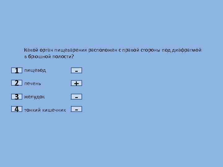 1 2 3 4 Какой орган пищеварения расположен с правой стороны под диафрагмой в