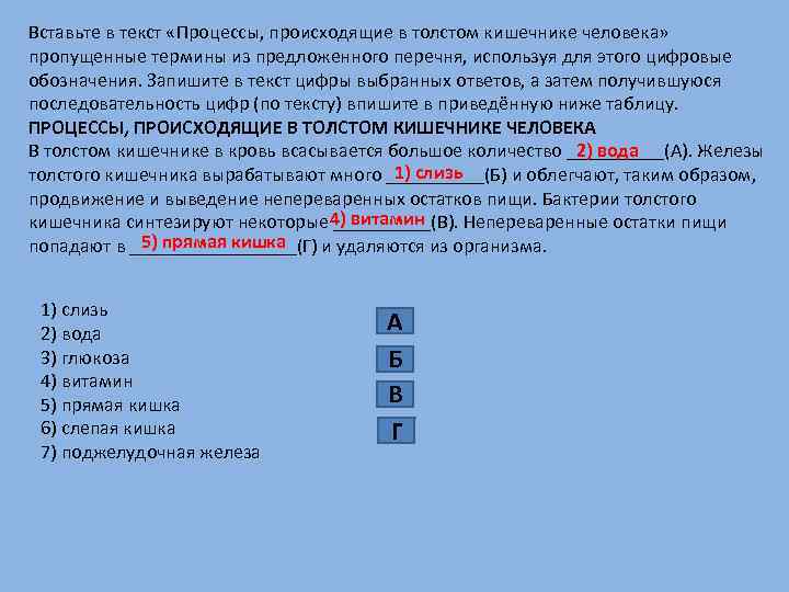 Вопросы о происходящих процессах. Вставьте в текст пропущенные термины из предложенного перечня. Вставьте пропущенные термины из предложения перечня. Процессы происходящие в толстом кишечнике человека. Вставь пропущенные термины бактерии.