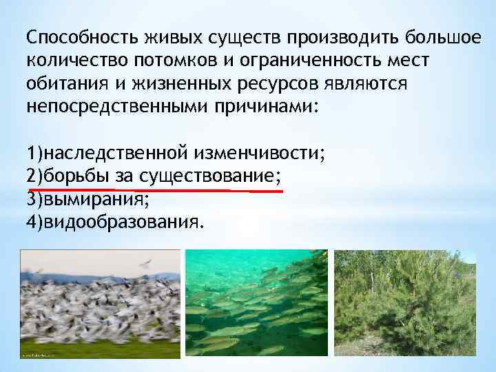 Способность живых существ производить большое количество потомков и ограниченность мест обитания и жизненных ресурсов