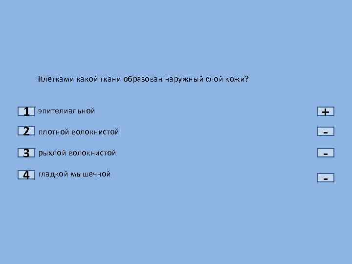 Клетками какой ткани образован наружный слой кожи? 1 2 эпителиальной 3 рыхлой волокнистой 4
