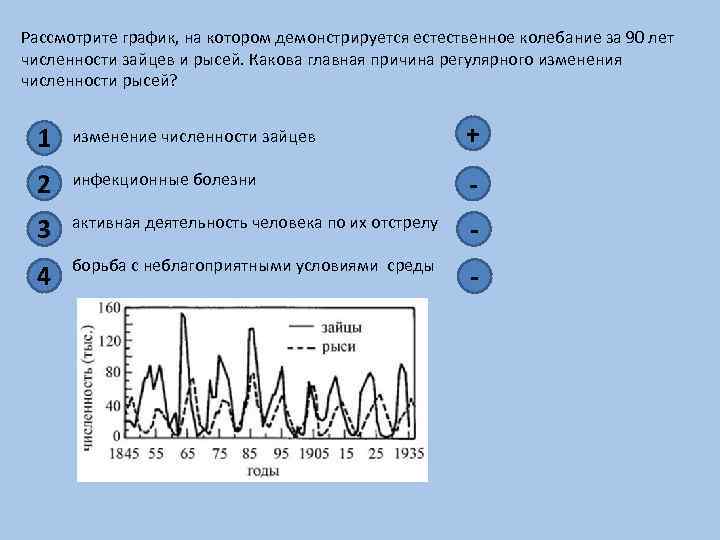 Нарисуйте на графике изменение численности лис учитывая численность зайцев