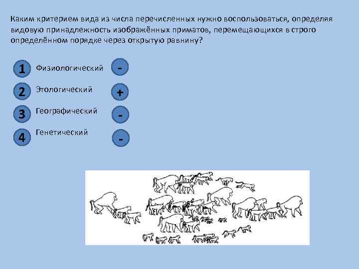 Какой критерий вида свидетельствует о принадлежности изображенных на рисунке