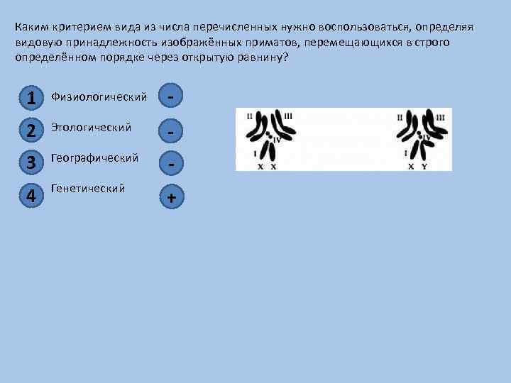 Какой критерий вида свидетельствует о принадлежности изображенных на рисунке