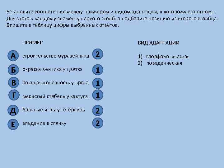 Соответствие между примерами и правами потребителя