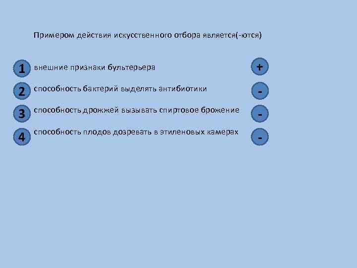 Примером действия искусственного отбора является(-ются) 1 внешние признаки бультерьера + 2 способность бактерий выделять