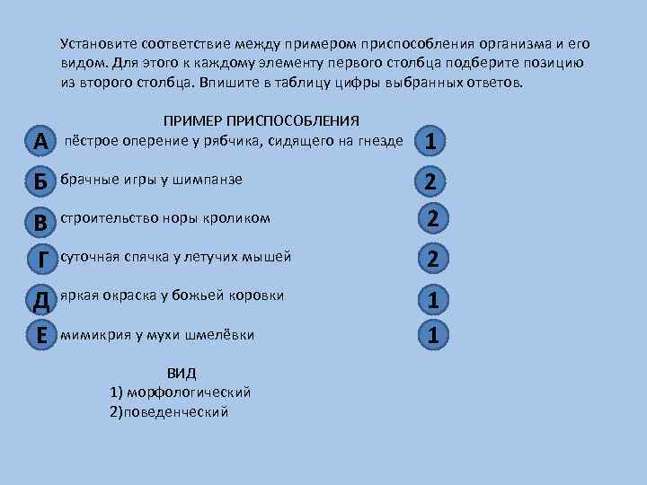 Установите соответствующие между примерами