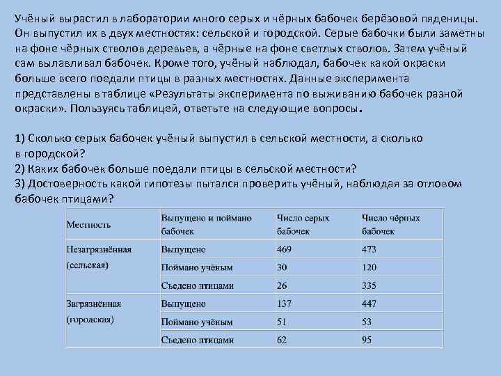 Учёный вырастил в лаборатории много серых и чёрных бабочек берёзовой пяденицы. Он выпустил их