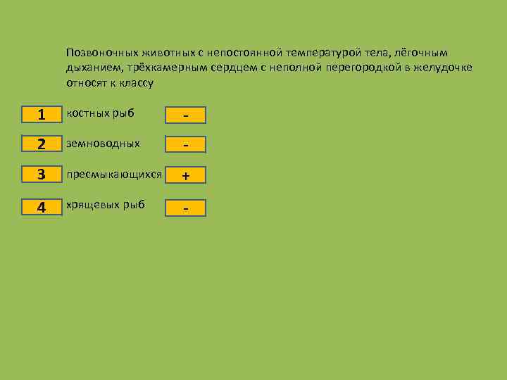 Позвоночных животных с непостоянной температурой тела, лёгочным дыханием, трёхкамерным сердцем с неполной перегородкой в