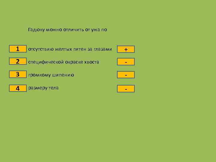 Гадюку можно отличить от ужа по 1 отсутствию желтых пятен за глазами + 2