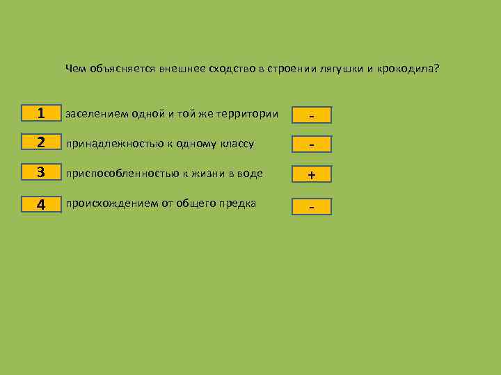 Тест по теме пресмыкающиеся 8 класс. Чем объясняется сходство строения лягушки и крокодила. Чем объясняется сходство во внешнем строении крокодила и лягушки. Сходство внешнее строение у лягушки и крокодила. Сходство крокодила лягушки и бегемота.