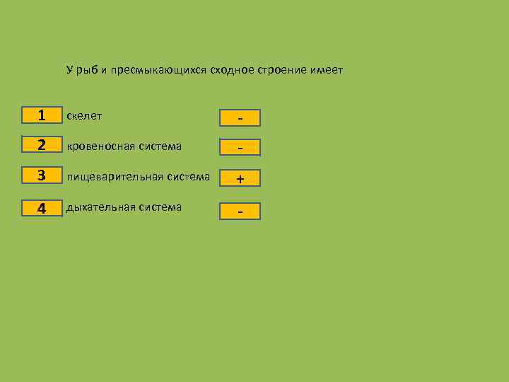 У рыб и пресмыкающихся сходное строение имеет 1 скелет - 2 кровеносная система -