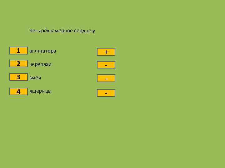 Четырёхкамерное сердце у 1 аллигатора + 2 черепахи - 3 змеи - 4 ящерицы